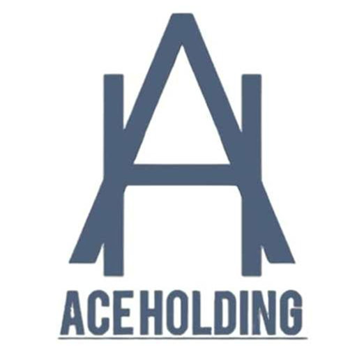 Ace Holding Entreprise